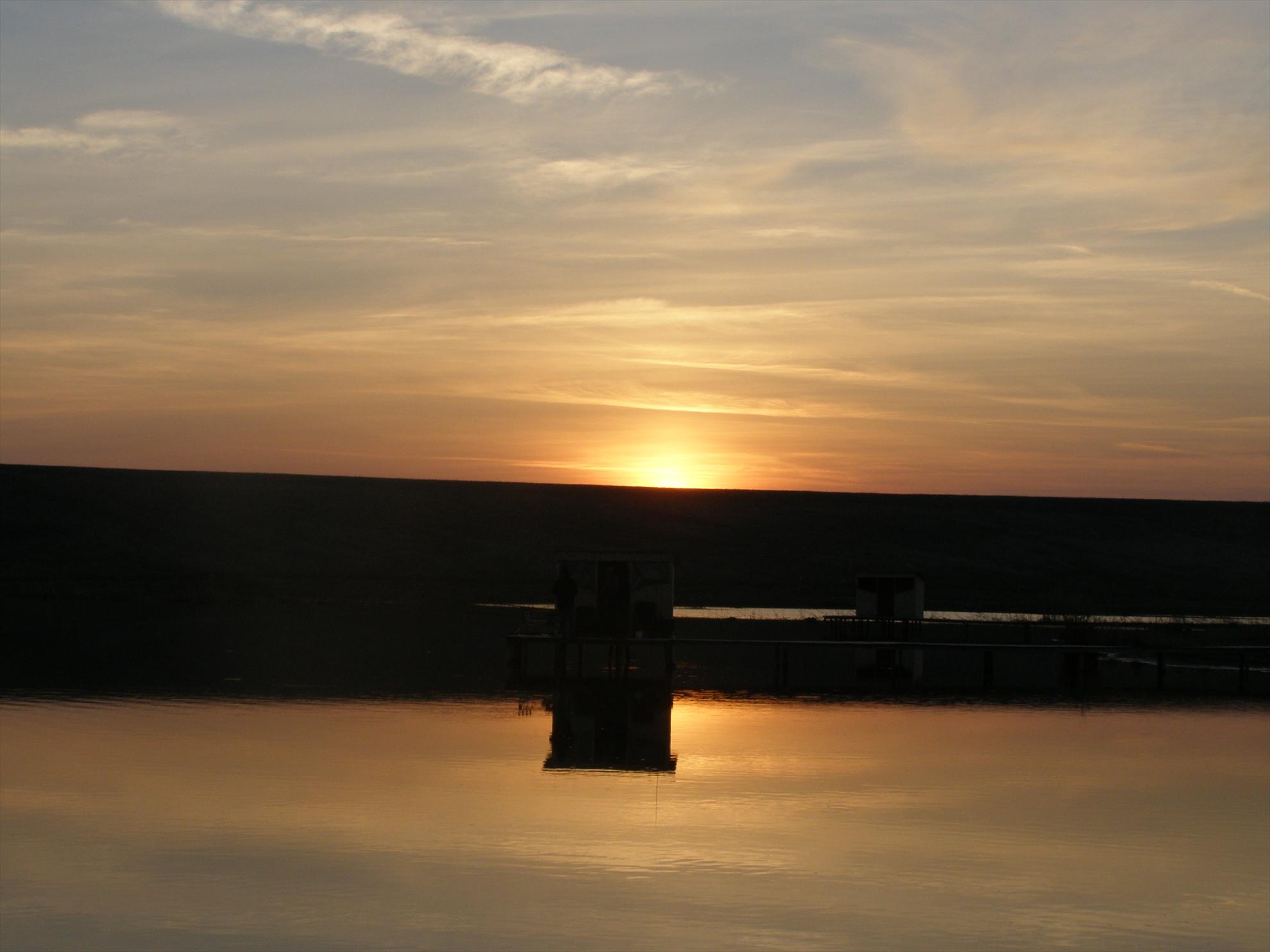 Capturi  - p3200928.JPG